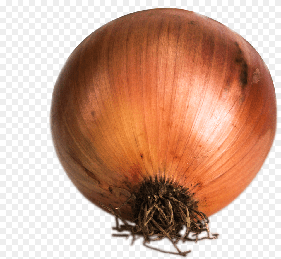 Cebolla Yellow Onion, Food, Produce, Vegetable, Plant Png