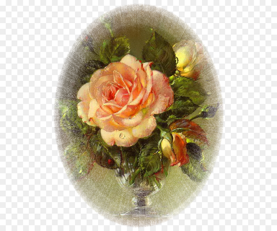 Cecil Kennedy Paintings, Art, Flower, Painting, Plant Png