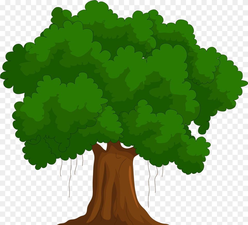Cedar Clipart Green Tree Clipart, Plant, Woodland, Vegetation, Potted Plant Free Transparent Png