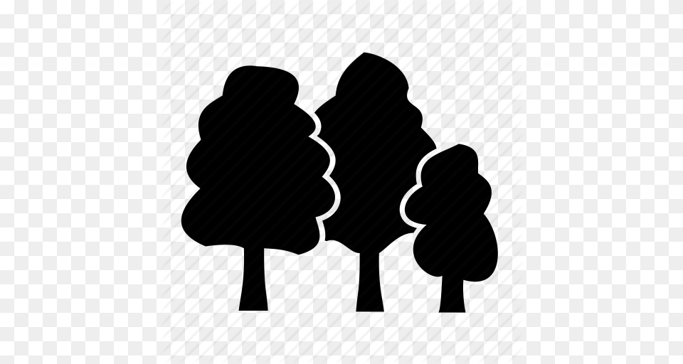 Cedar Elm Trees Forest Oaks Park Spruce Woods Icon, Silhouette, Person, Bag Free Png Download
