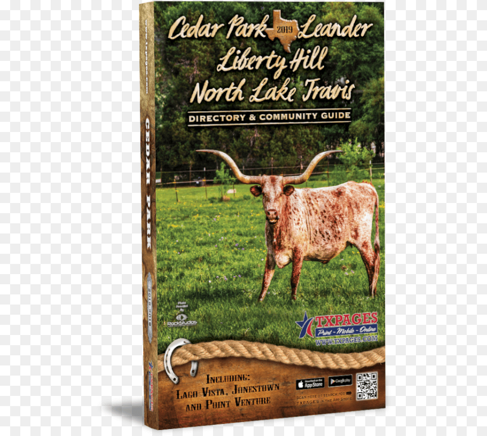 Cedar Park Directory Leander Tx Community Guide, Animal, Cattle, Livestock, Longhorn Png