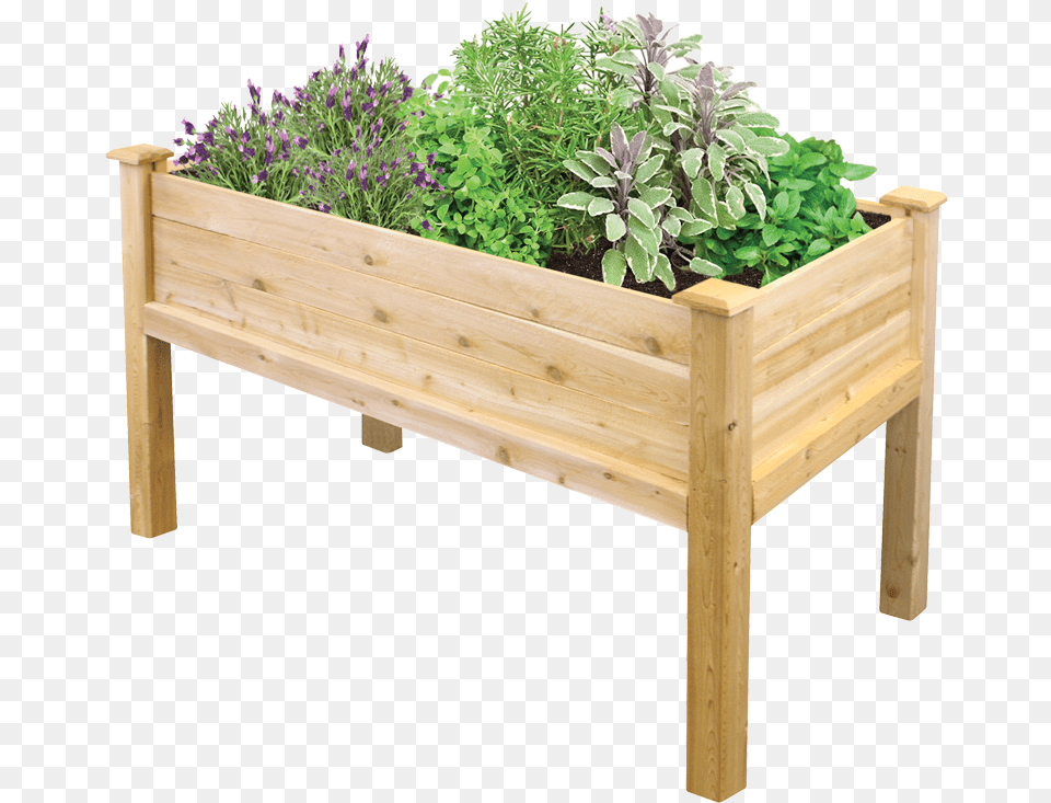 Cedar Raised Bed Kit, Jar, Plant, Planter, Potted Plant Free Transparent Png