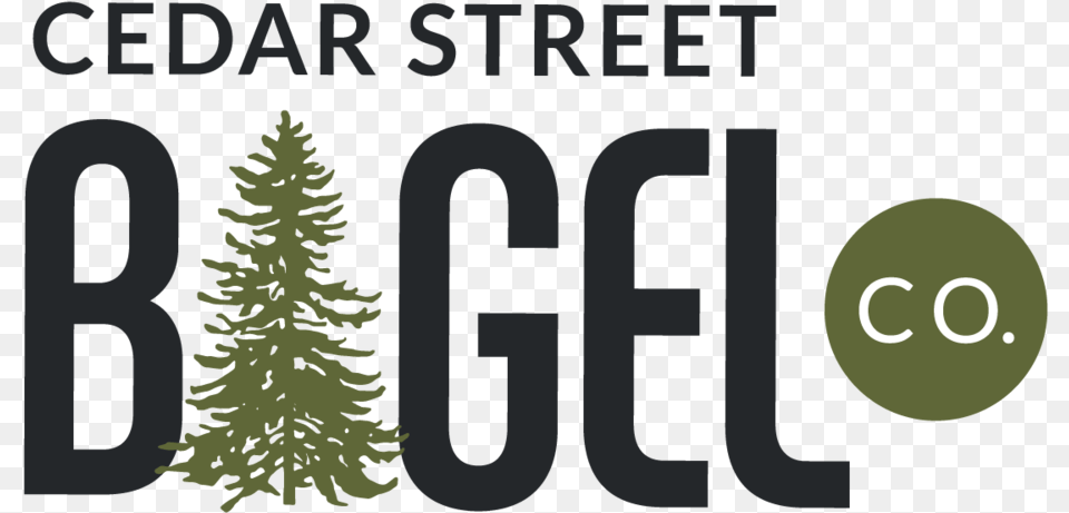 Cedar Street Bagel Co, Plant, Tree, Conifer, Fir Free Transparent Png