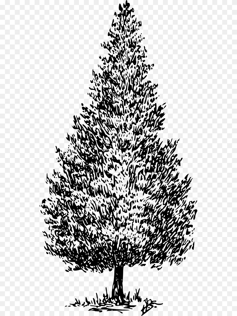 Cedar Tree Clip Art, Gray Free Png