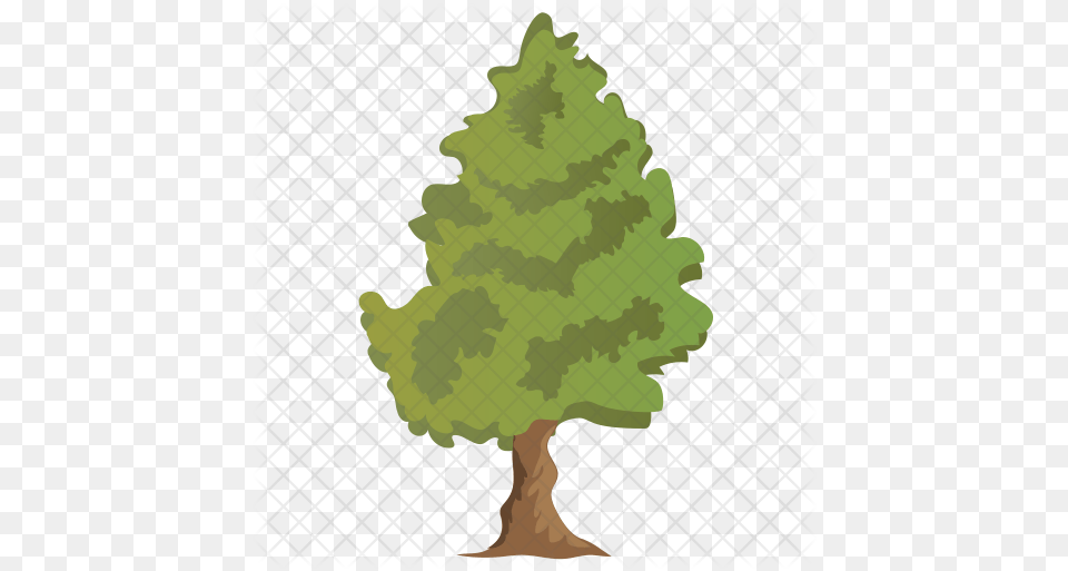 Cedar Tree Icon Of Flat Style Christmas Tree, Plant, Conifer, Potted Plant, Person Png