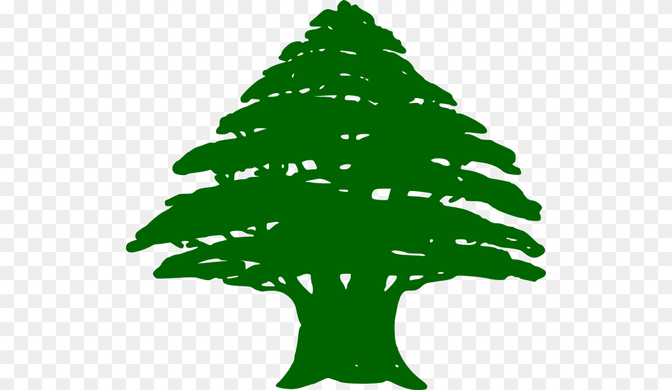 Cedar Tree Lebanon Flag, Green, Plant, Person, Fir Png Image