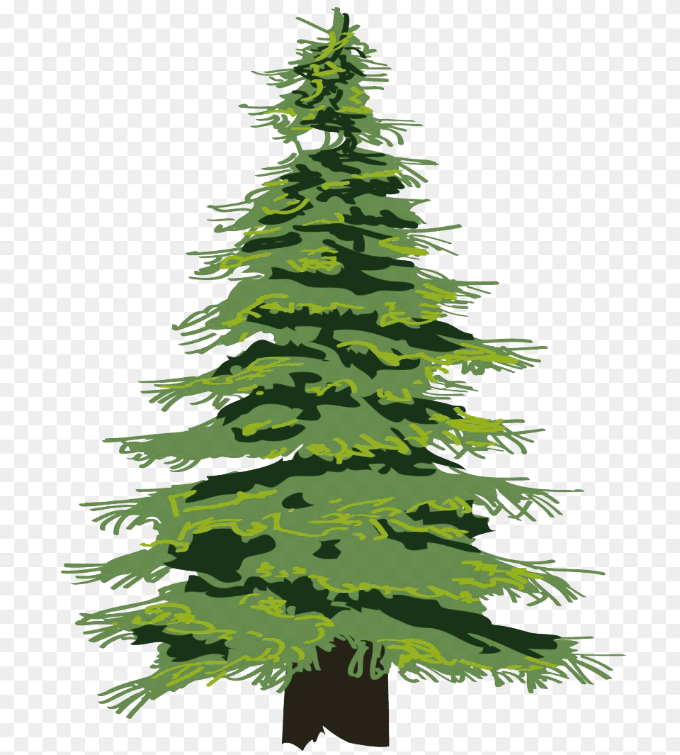 Cedar Tree Mart Pine Tree, Fir, Plant, Conifer, Green Png Image