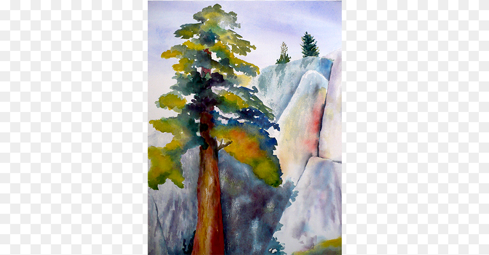 Cedar Tree Tree, Art, Plant, Painting, Conifer Png