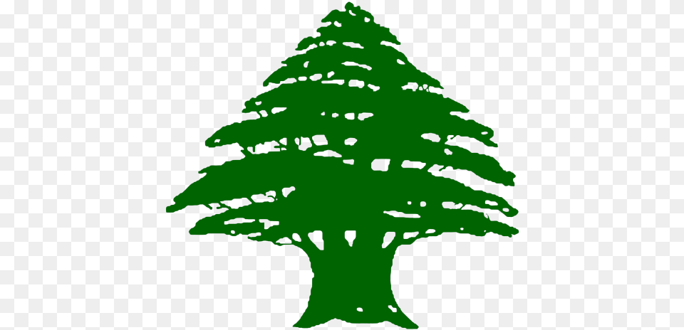 Cedars Of Lebanon Flag, Plant, Tree, Green, Pine Free Png Download