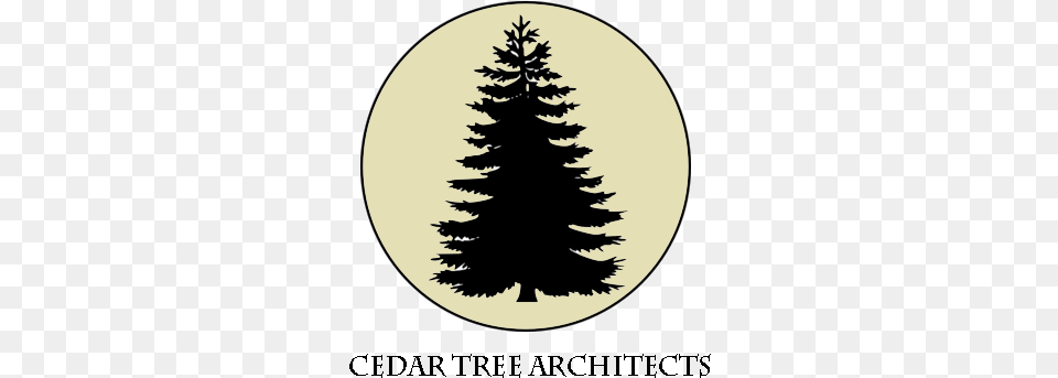 Ceder Tree Architects Vector Pine Tree, Plant, Fir, Stencil, Disk Free Png