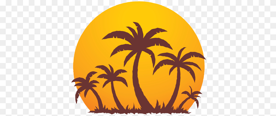 Cee Cee39s Caribbean Sun And Palm Tree, Sky, Nature, Outdoors, Plant Free Transparent Png