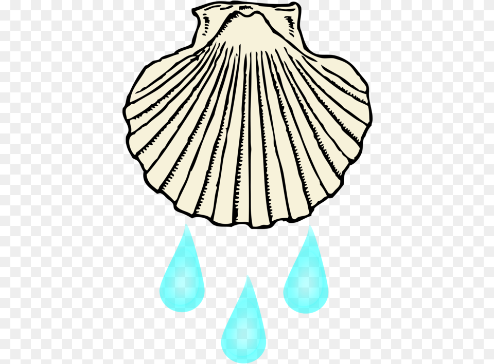 Ceiling Fixturelinebaptism Shell Black And White Clipart, Invertebrate, Animal, Clam, Seashell Free Png