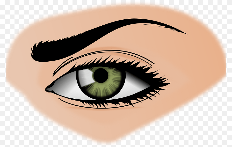 Ceja Dibujo A Color, Adult, Art, Female, Person Free Transparent Png