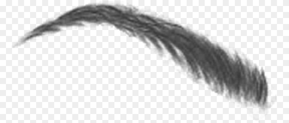 Cejas Eyebrow Mystikers Close Up, Gray Free Png
