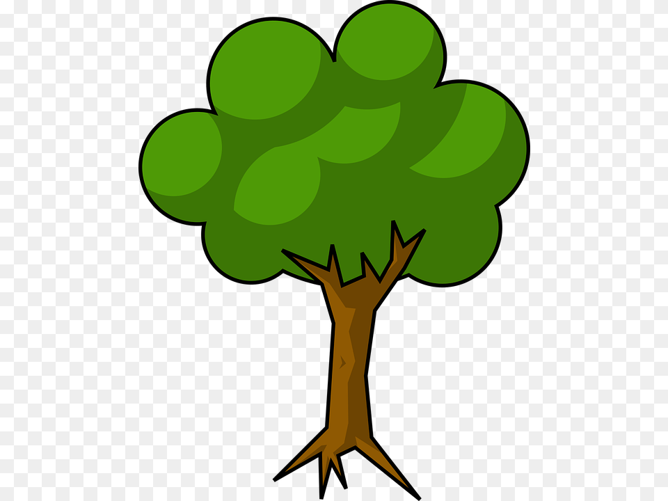 Cel Shading Minimal Shaded Simple Tree Simple Tree Cartoon, Food, Fruit, Grapes, Green Png