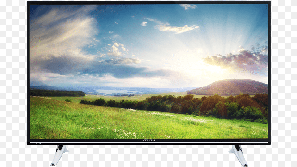 Celcus 43 Smart Tv, Computer Hardware, Screen, Monitor, Hardware Free Png Download