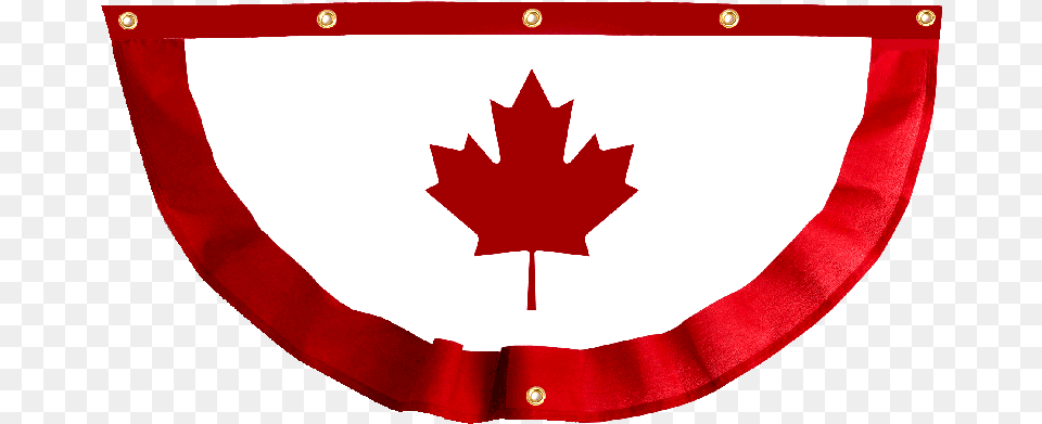 Celebrate Cook 250 And Canada 150 With Pride Canada Flag, Leaf, Plant, Person Free Png