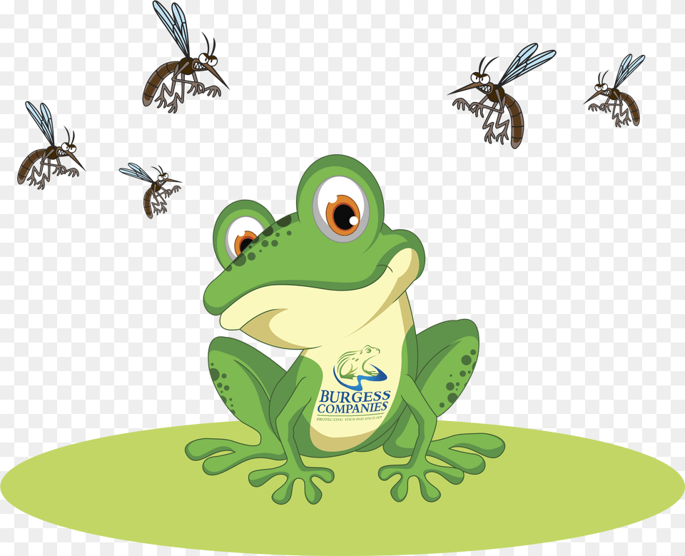 Celebrate Independence From Mosquitoes This 4th Of Cartoon Green Frog, Animal, Amphibian, Wildlife, Bee Free Transparent Png