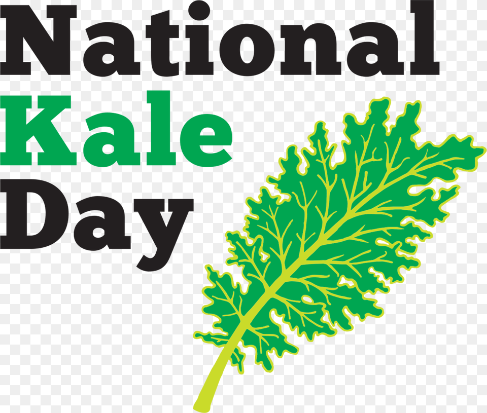 Celebrate National Kale Day Wednesday Oct Join Team Kale Live, Leaf, Plant, Food, Lettuce Free Transparent Png