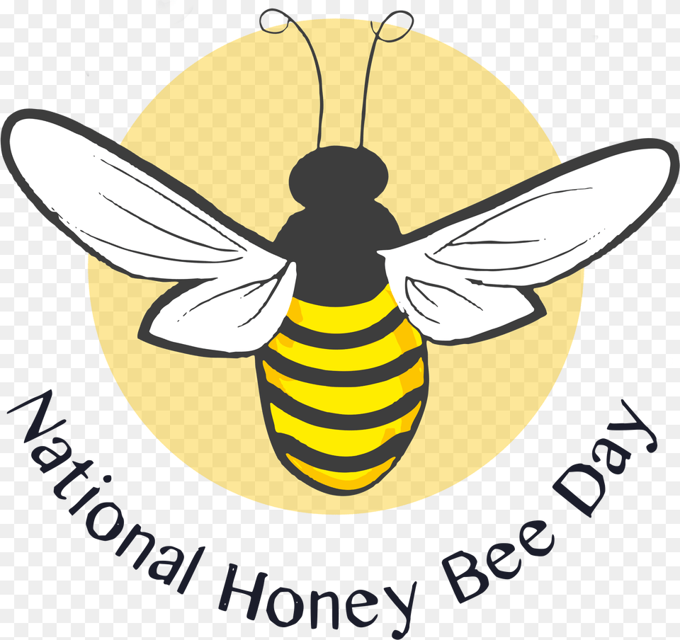 Celebrate The Incredible Honey Bee National Honey Bee Day 2017, Animal, Honey Bee, Insect, Invertebrate Free Transparent Png