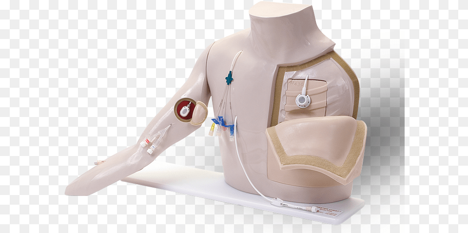Celebrating 30 Years Of Chester Chest Vata Chester Chest, Body Part, Person, Torso Free Transparent Png