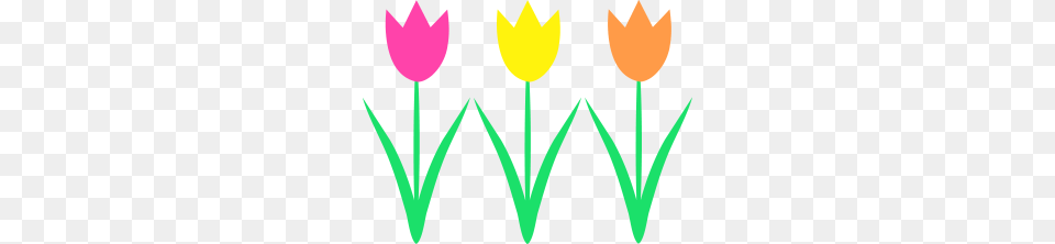 Celebration Clipart Spring, Flower, Plant, Tulip, Petal Png