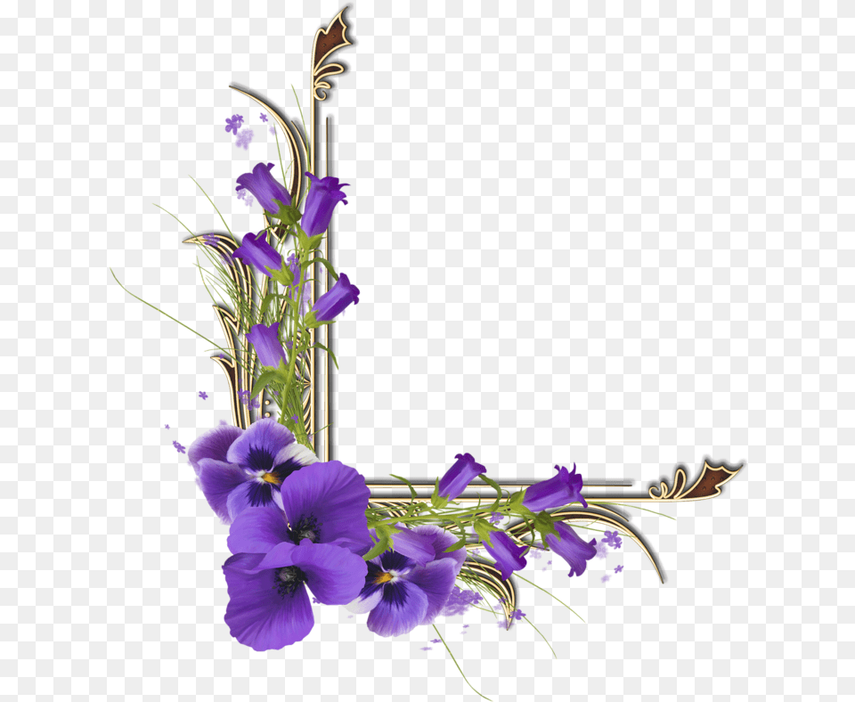 Celebration Flowers, Flower, Flower Arrangement, Geranium, Plant Free Png Download