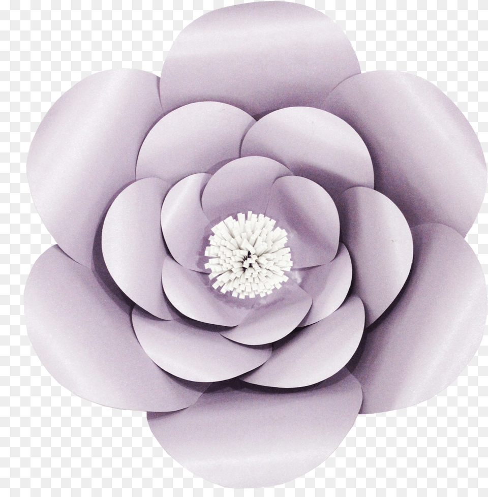 Celebrationpeak Paper Flower Lavender Three Stack, Plant, Dahlia, Anemone, Petal Free Png Download