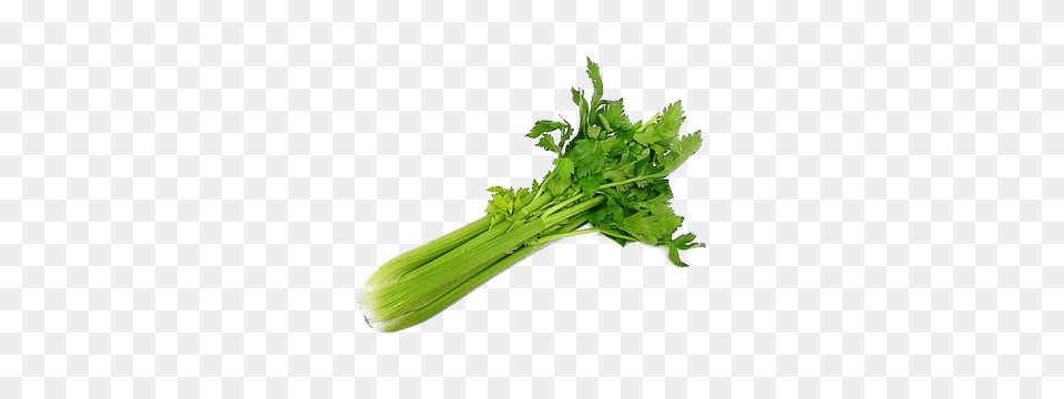 Celeri Download Food Free, Herbs, Plant, Produce, Leek Png Image