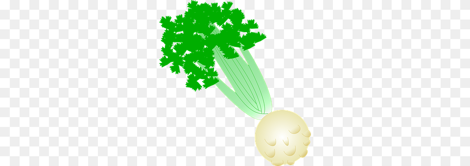Celeriac Food, Produce, Person Png