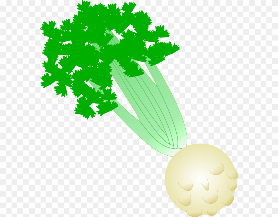 Celeriac Leaf Vegetable Download Soup, Herbs, Plant, Parsley, Food Free Transparent Png