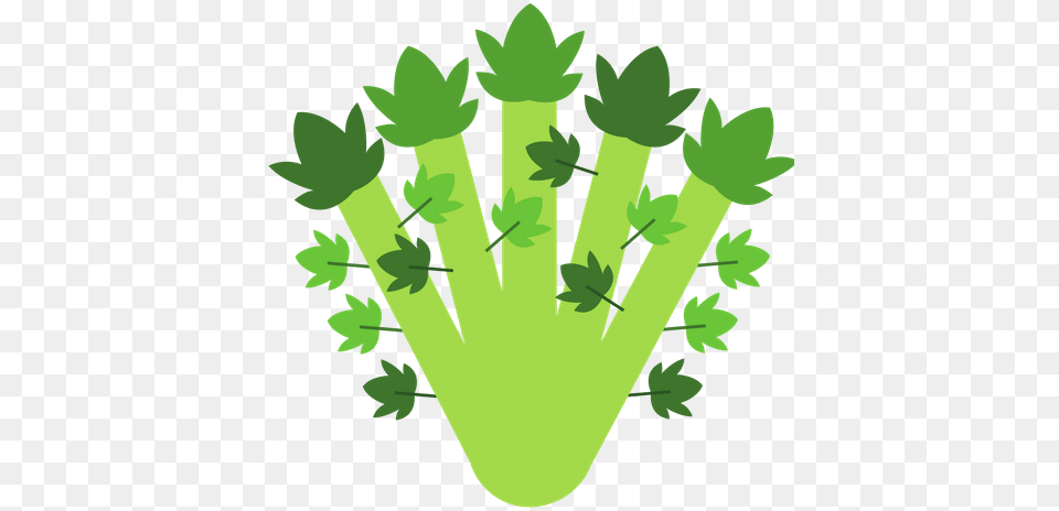 Celery 0shares Vector Graphics, Herbs, Parsley, Plant, Green Free Png