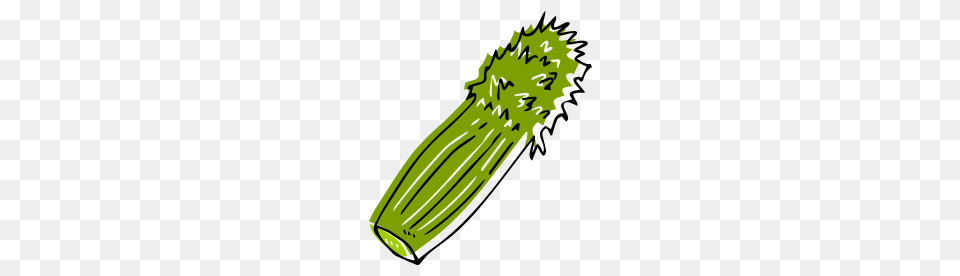 Celery, Cucumber, Food, Plant, Produce Free Transparent Png