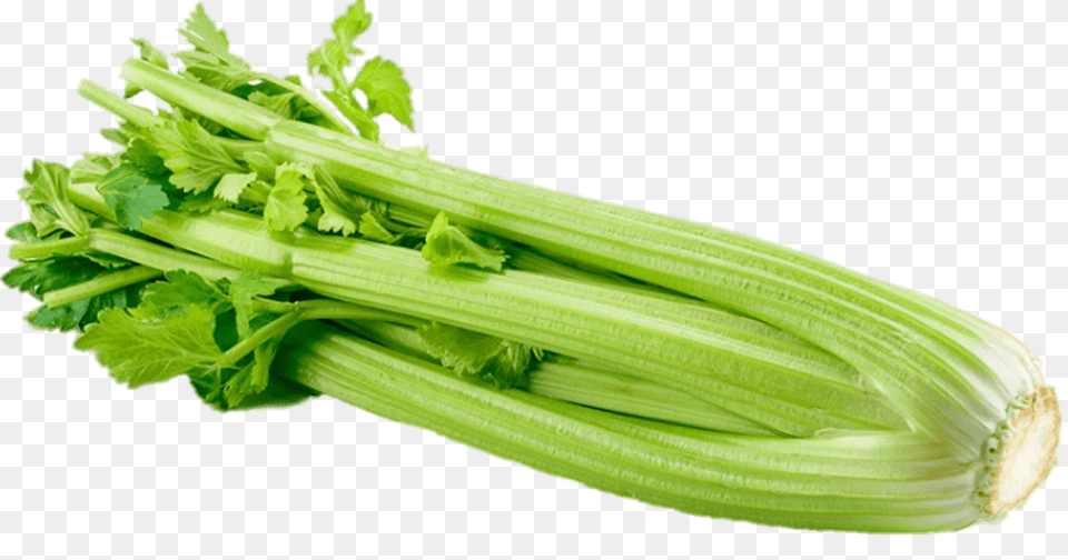 Celery, Plant, Food, Produce Free Png