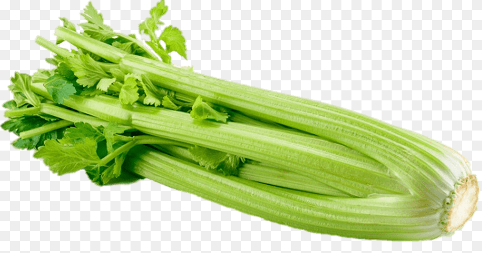 Celery, Plant, Food, Produce Png Image