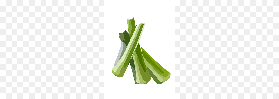 Celery Food, Leek, Plant, Produce Free Png Download