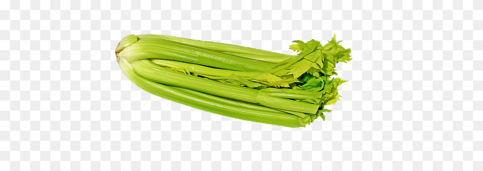 Celery Food, Leek, Plant, Produce Free Png