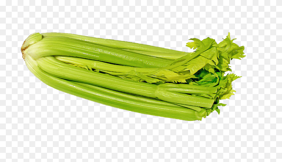 Celery Food, Produce, Leek, Plant Png