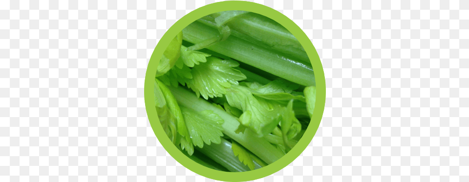 Celery Cara Menyuburkan Rambut Bayi, Herbs, Plant, Parsley Free Png Download