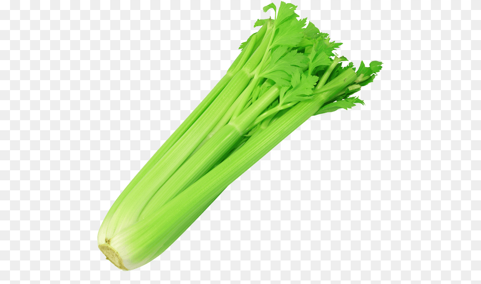 Celery Celery, Food, Leek, Plant, Produce Png