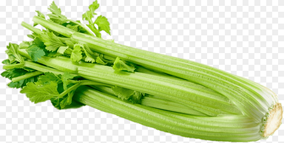 Celery Celery, Plant, Food, Produce, Leek Png Image