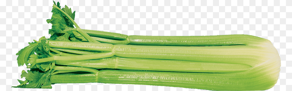 Celery Celery Stalk, Food, Leek, Plant, Produce Png