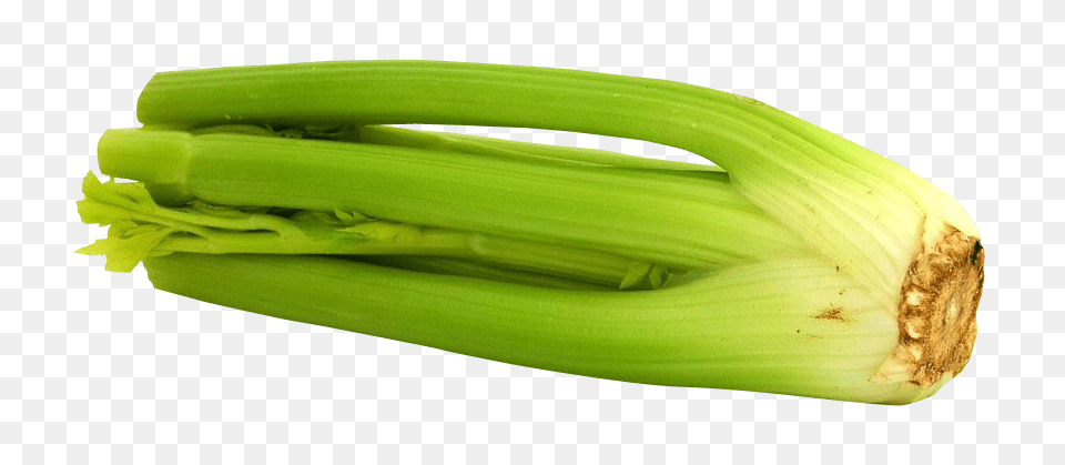 Celery Image, Food, Produce, Leek, Plant Free Png