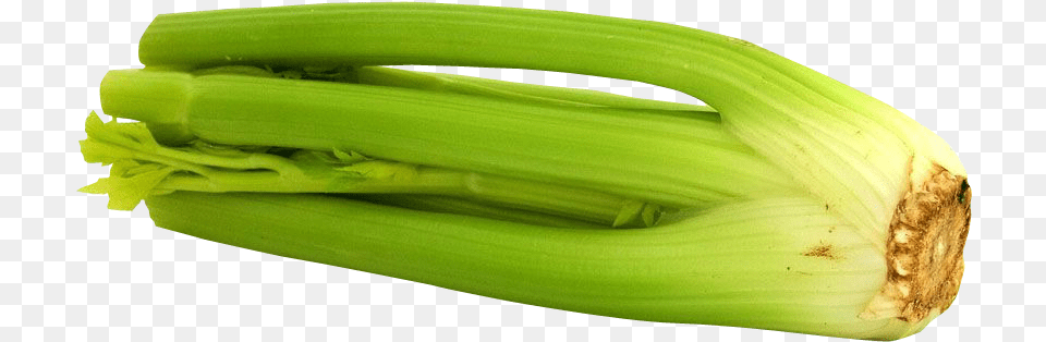Celery Celery, Food, Produce, Banana, Fruit Png Image