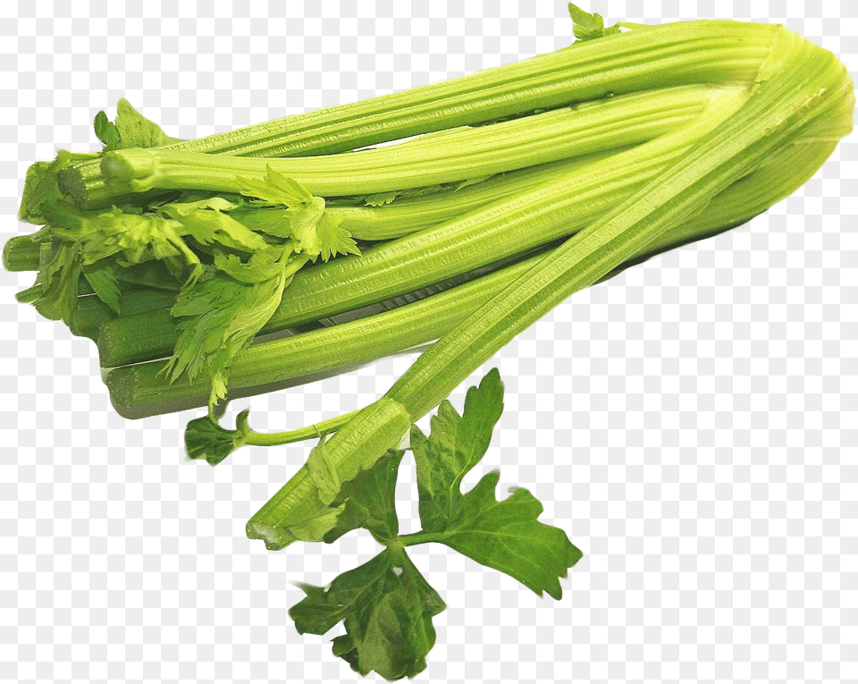 Celery Image Celery, Herbs, Plant, Parsley, Food Free Png