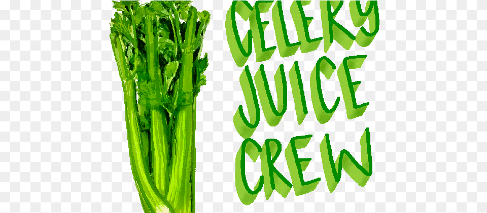 Celery Juice Is The Latest Trending Superfood, Herbs, Plant, Parsley Free Transparent Png
