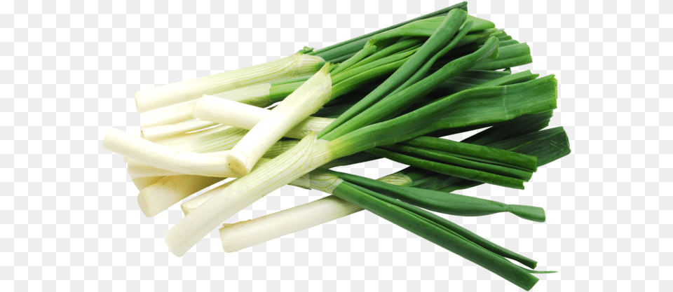 Celery Leek, Food, Produce, Plant, Vegetable Png Image