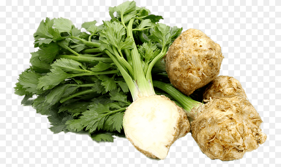 Celery Root, Herbs, Plant, Bread, Food Free Transparent Png