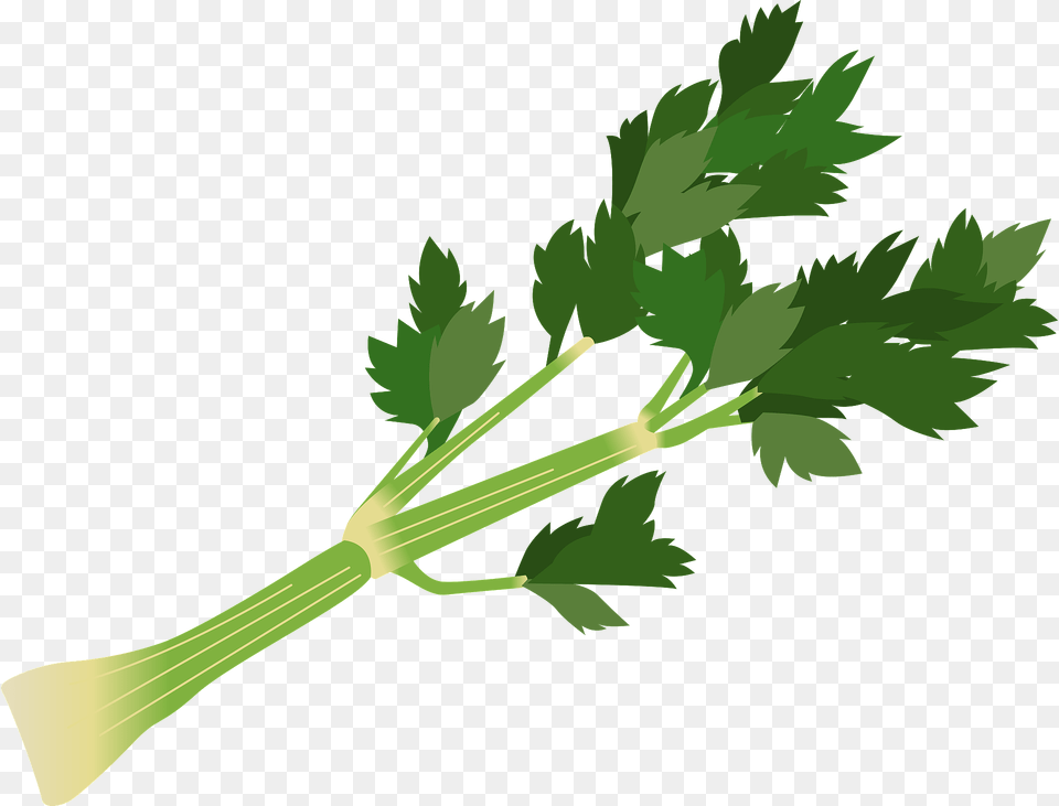 Celery Stalk Clipart, Herbs, Parsley, Plant Free Png