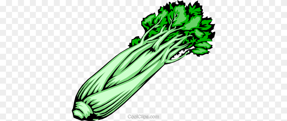 Celery Stalk Royalty Vector Clip Art Illustration, Food, Produce, Herbs, Plant Free Png Download